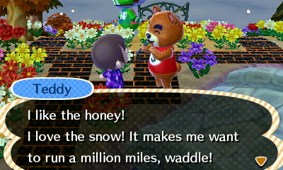 Teddy: I love the snow! It makes me want to run a million miles!