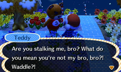 Teddy: Are you stalking me, bro? What do you mean you're not my bro, bro?