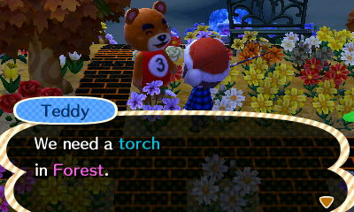 Teddy: We need a torch in Forest.