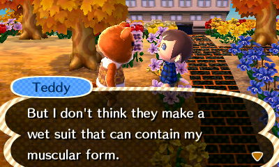 Teddy: But I don't think they make a wet suit that can contain my muscular form.