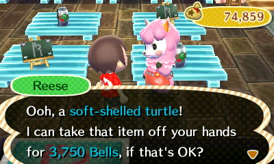 Reese: Ooh, a soft-shelled turtle! I can take that item off your hands for 3,750 bells, if that's OK?