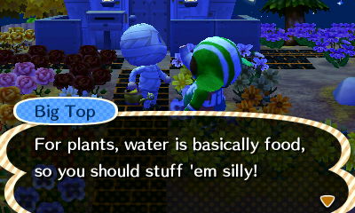 Big Top: For plants, water is basically food, so you should stuff 'em silly!