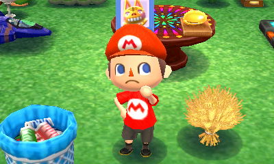 The wheat bundle I got from Isabelle for the harvest moon.