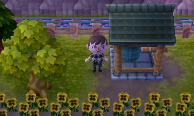 My new zen bell PWP!