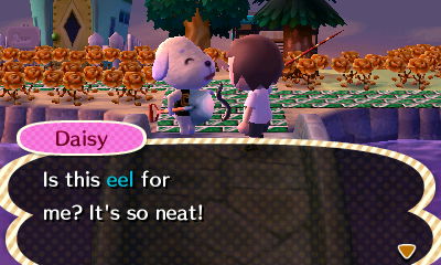 Daisy: Is this eel for me? It's so neat!