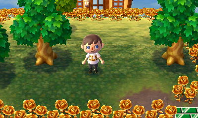 The new color of grass and trees.