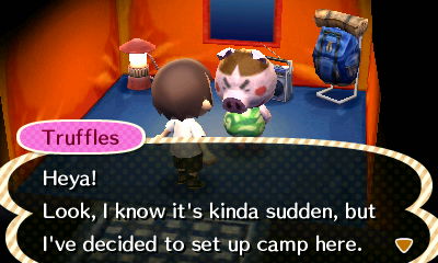 Truffles: Heya! Look, I know it's kinda sudden, but I've decided to set up camp here.