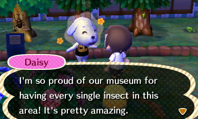 Daisy: I'm so proud of our museum for having every single insect in this area! It's pretty amazing.