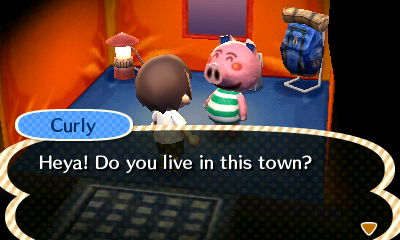 Curly: Heya! Do you live in this town?