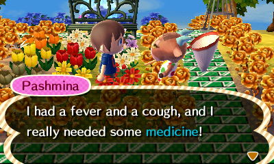 Pashmina: I had a fever and a cough, and I really needed some medicine!