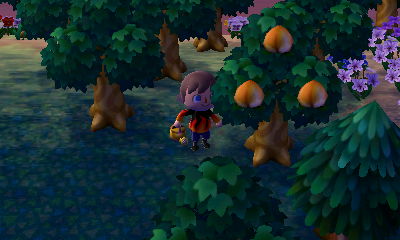 Three new perfect peaches on my tree!