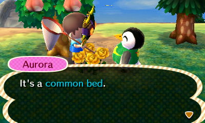 Aurora: It's a common bed.