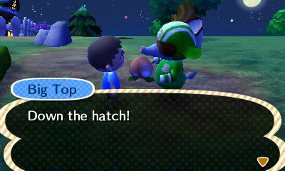 Big Top, eating a peach: Down the hatch!