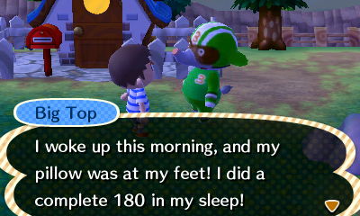 Big Top: I woke up this morning, and my pillow was at my feet! I did a complete 180 in my sleep!