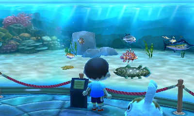 My coelacanth's new home: the aquarium at the museum.