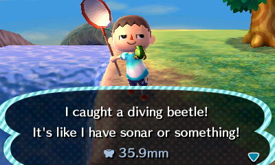 I caught a diving beetle! It's like I have sonar or something!