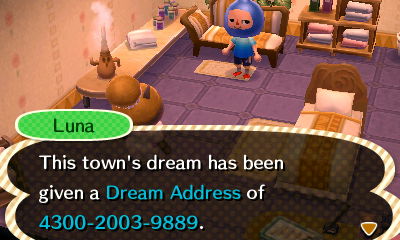 Luna: This town's dream has been given a Dream Address of 4300-2003-9889.