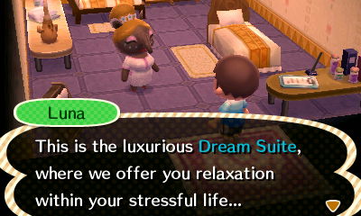 Luna: This is the luxurious Dream Suite, where we offer you relaxation within your stressful life...