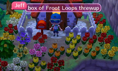 Loads of colorful flowers around Wendy's house.