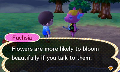 Fuchsia: Flowers are more likely to bloom beautifully if you talk to them.