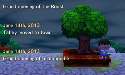Grand opening of the Roost. June 14th, 2013: Tabby moved to town. June 14th, 2013: Grand opening of Shampoodle.