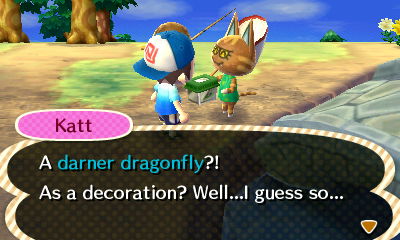 Katt: A darner dragonfly?! As a decoration? Well...I guess so...