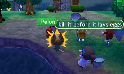 Pelon: Kill it before it lays eggs!
