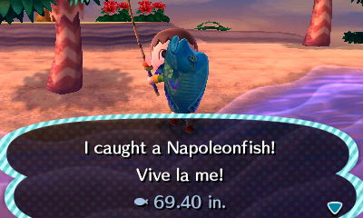 I caught a Napoleonfish! Vive la me!