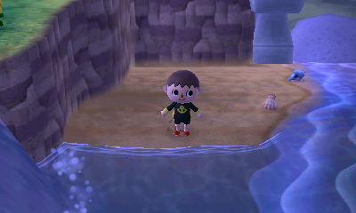 Standing on my private beach!