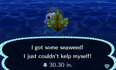 I got some seaweed! I just couldn't kelp myself!