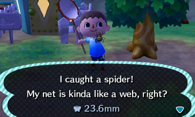 I caught a spider! My net is kinda like a web, right?