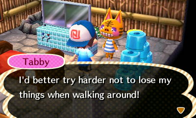 Tabby: I'd better try harder not to lose my things when walking around!