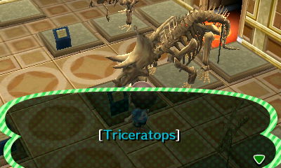 A complete triceratops in the Forest museum.