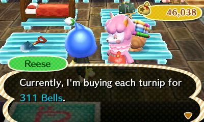 Reese: Currently, I'm buying each turnip for 311 bells.