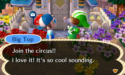 Big Top: Join the circus! I love it! It's so cool sounding!