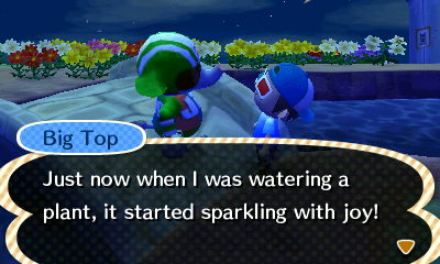 Big Top: Just now when I was watering a plant, it started sparkling with joy!