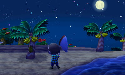 I catch some bugs on the island at night.