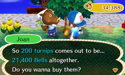 Joan: So 200 turnips comes out to be... 21,400 bells altogether. Do you wanna buy them?