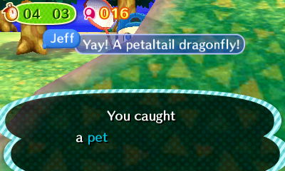 You caught a pet