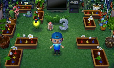 A Pikmin 3 themed room in the SpotPass home of Cory from Kihei.