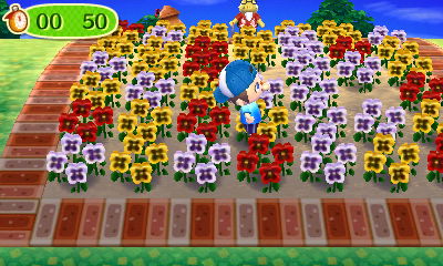 Lots and lots of flowers in the gardening tour on Tortimer's island.