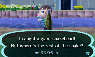 I caught a giant snakehead! But where's the rest of the snake?