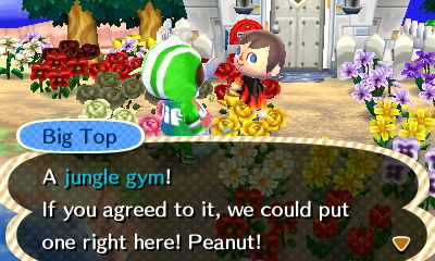 Big Top: A jungle gym! If you agreed to it, we could put one right here! Peanut!