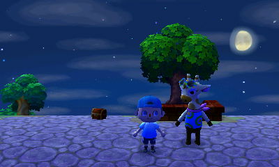 Gracie the giraffe standing at the event plaza for the first time!