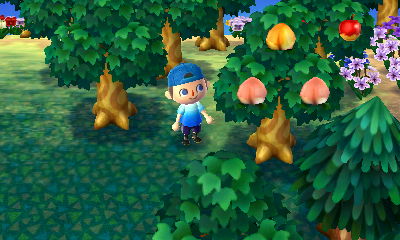 My first perfect peach in months!