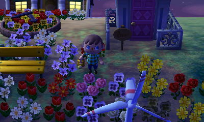 A new pink rose near my wind turbine.