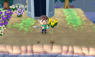 Picture comparing a regular pitfall seed and a tricky pitfall seed. The tricky one displays a smaller, less noticeable star when buried.