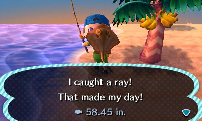 I caught a ray! That made my day!