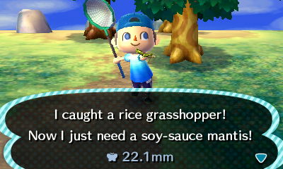 I caught a rice grasshopper! Now I just need a soy-sauce mantis!