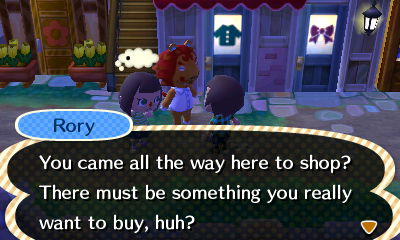 Rory: You came all the way here to shop? There must be something you really want to buy, huh?